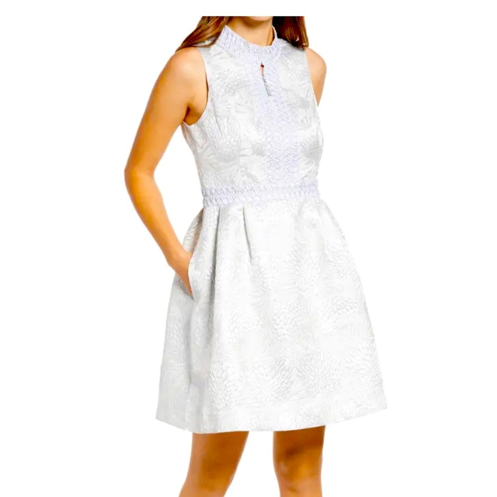 Franci Metallic Jacquard Fit & Flare Dress